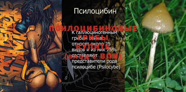 mix Армянск