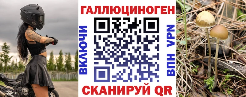 наркота  Мончегорск  Псилоцибиновые грибы Cubensis 