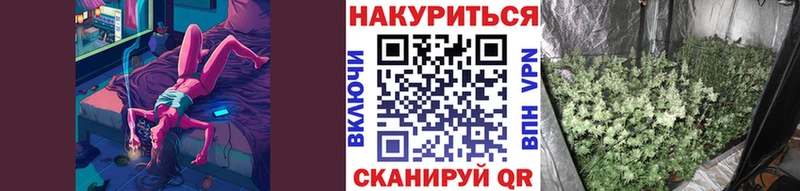 как найти закладки  Мончегорск  Бошки марихуана марихуана 